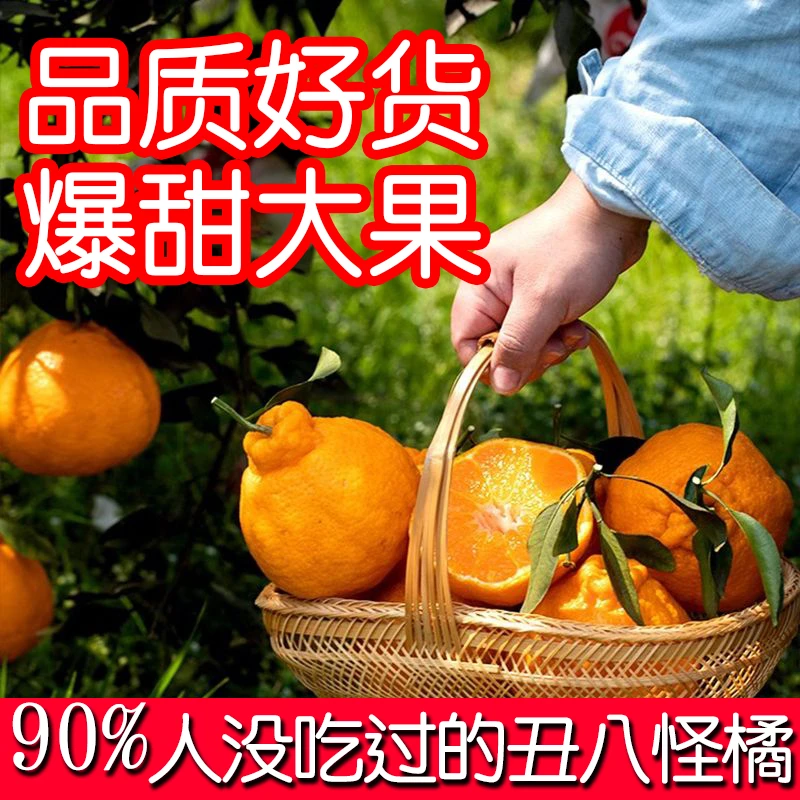 绿色食品四川丑橘不知火水果新鲜整箱当季桔子丑八怪粑丑柑大橘子