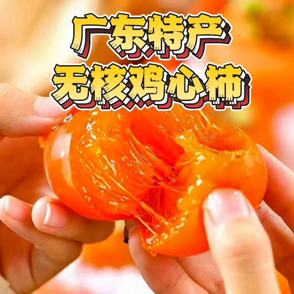 现货现发应季广东无核鸡心柿子放软吃流心爆甜皮薄肉厚清甜爽口
