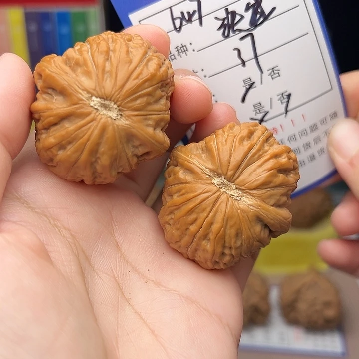 核桃文玩核桃手捻647