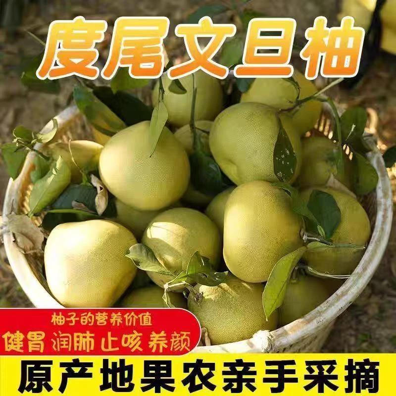 正宗福建莆田仙游度尾文旦柚子红心老树当季酸甜新鲜水果