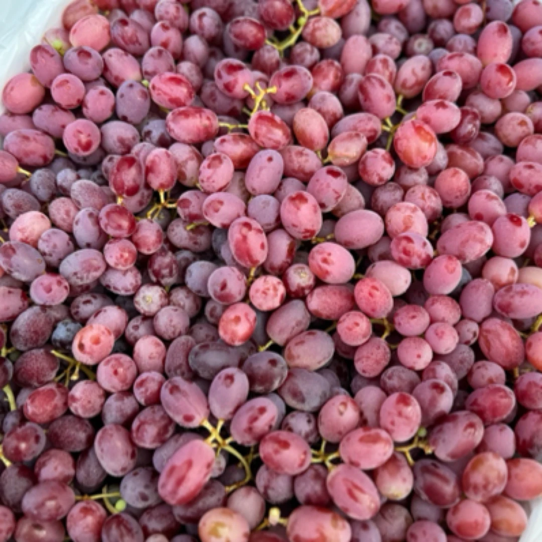 澳洲无籽红提 35元/两斤红提