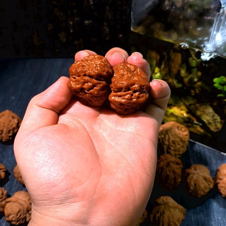 文玩核桃把件小***霸蛤蟆头