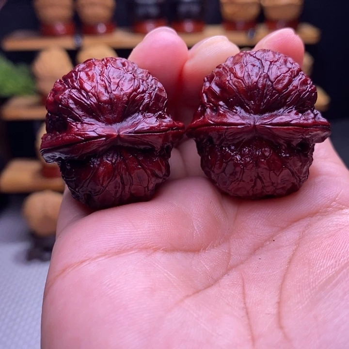 木质类云铁地焖金龟子41号