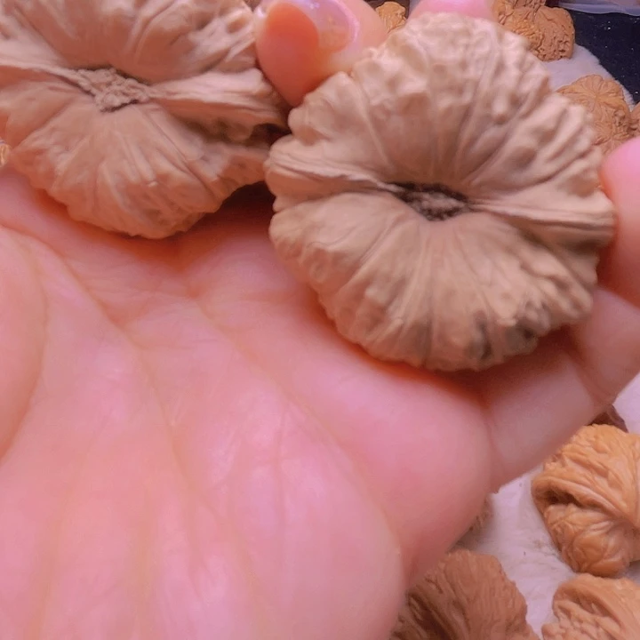 大*虫核桃核桃核桃核桃