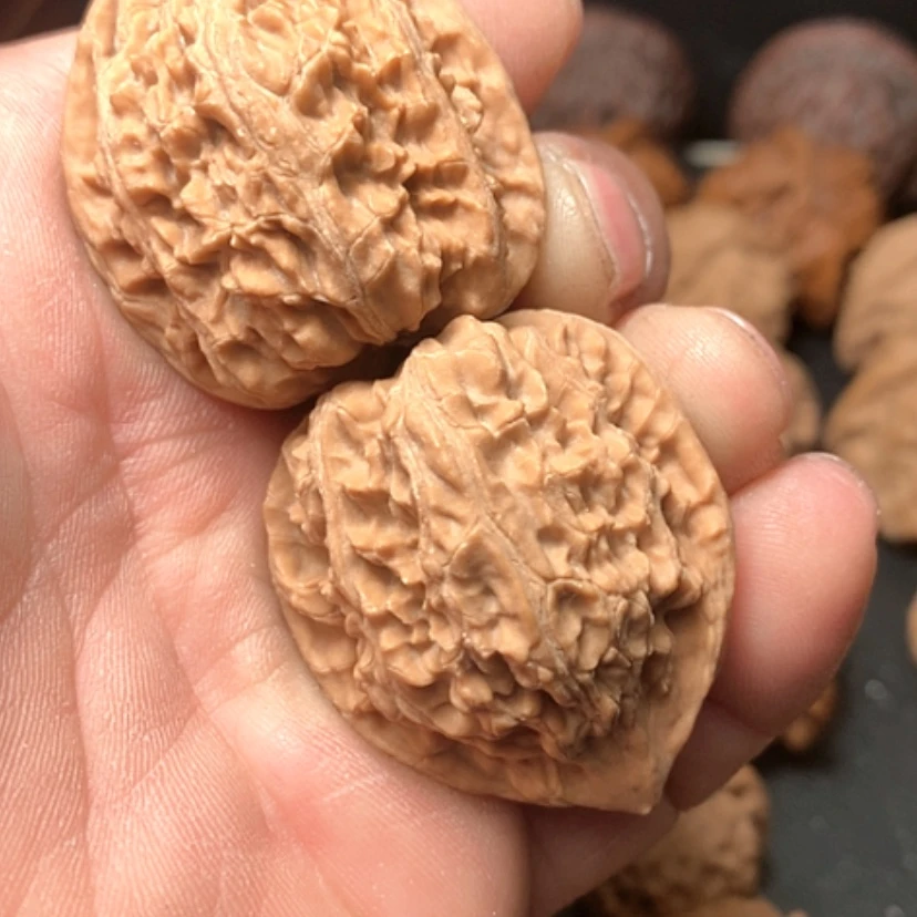 【闪购商品】苦*瓜野生牛尾