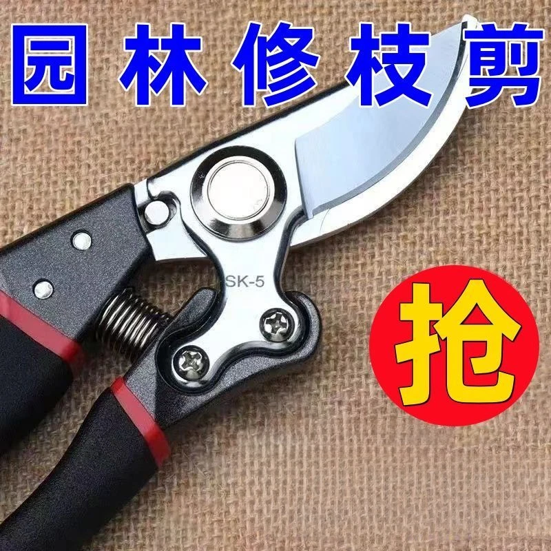 德系工艺剪树剪子果树剪枝家用枝条剪修枝剪花木葡萄修剪剪