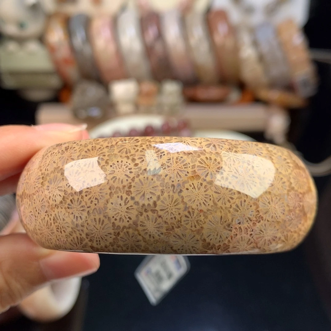 【闪购商品】硅化珊瑚（珊瑚玉）未镶嵌颈饰精品手镯54.5口（11号）