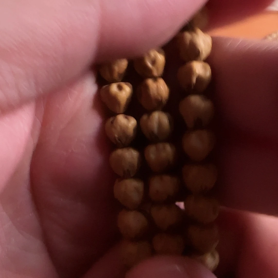 柏香籽/百香籽吊坠大*