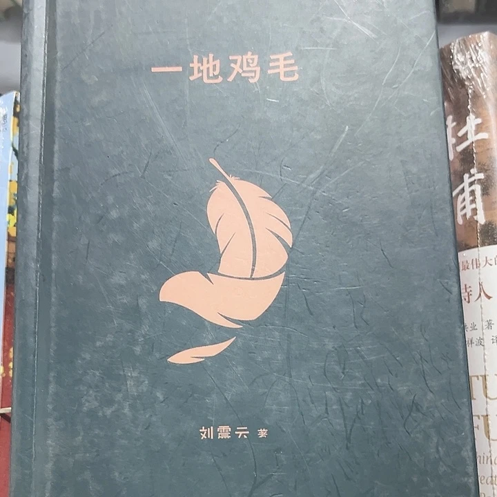 一地鸡毛新书推荐