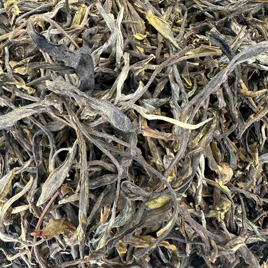 普洱茶2024高山古树高香高甜生茶散茶