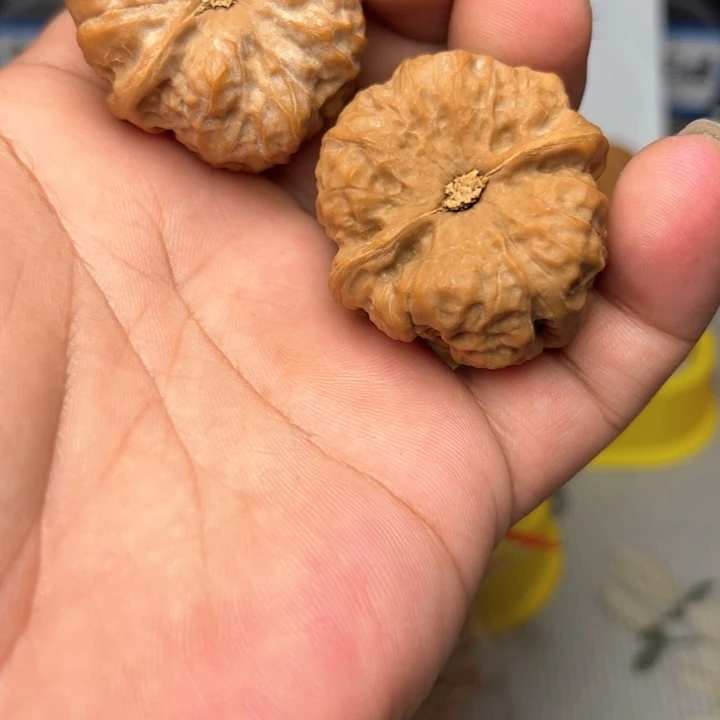 文玩核桃把件a**你55555555