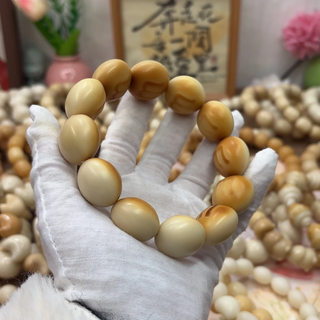 吊坠菩提根/象牙果24干磨牙果m豆默认瑕990