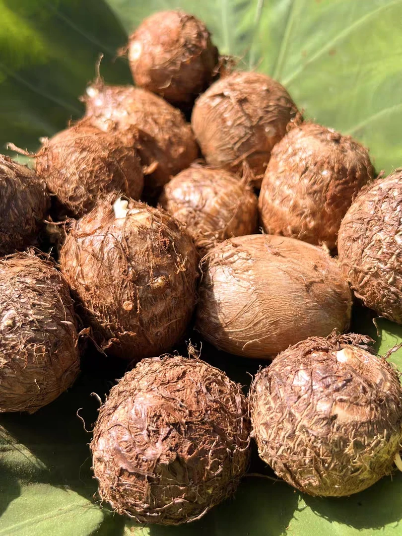 云南建水高山牛奶芋头新鲜农家自种艿芋头粉糯香甜