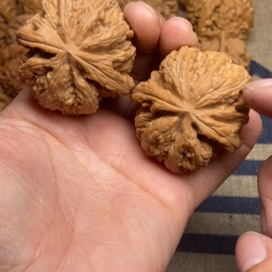 吊坠文玩核桃粗筋全品