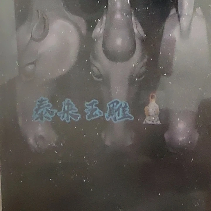 金**线养殖鹿角雕刻 马头三通