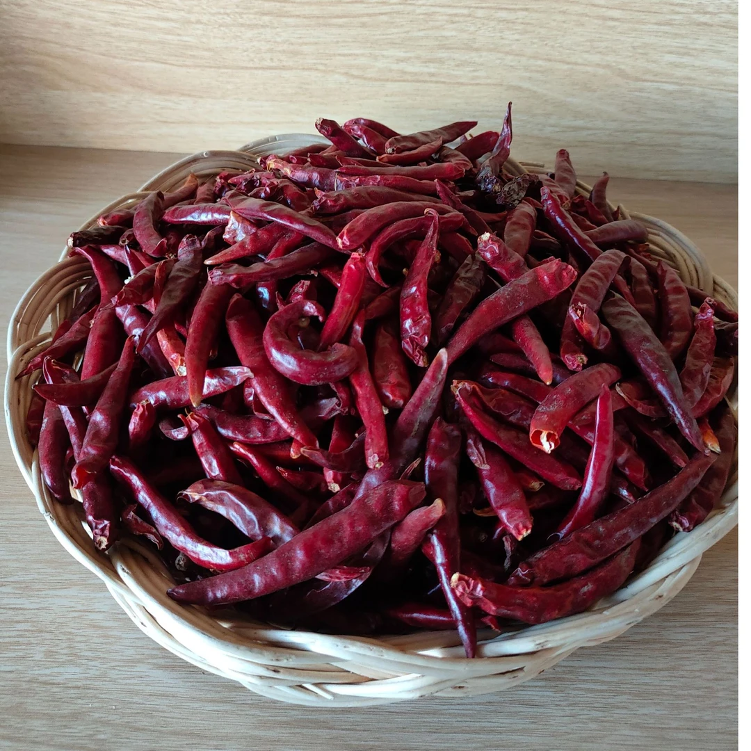 宝坻三辣特产天鹰椒