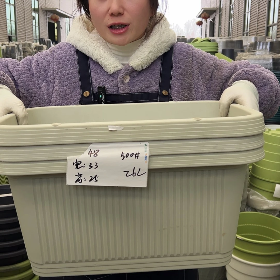 菜盆500#米白3个无托