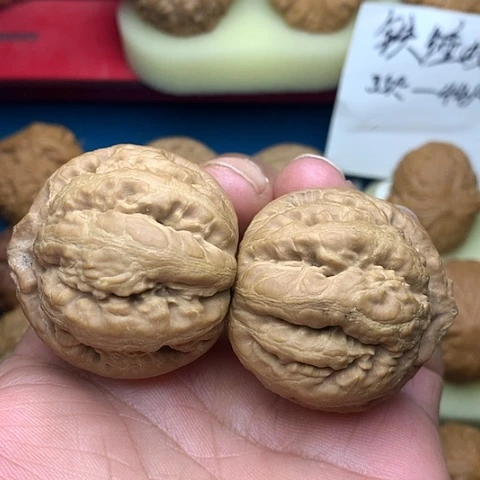 文玩核桃把件42尺粗筋霸王龙