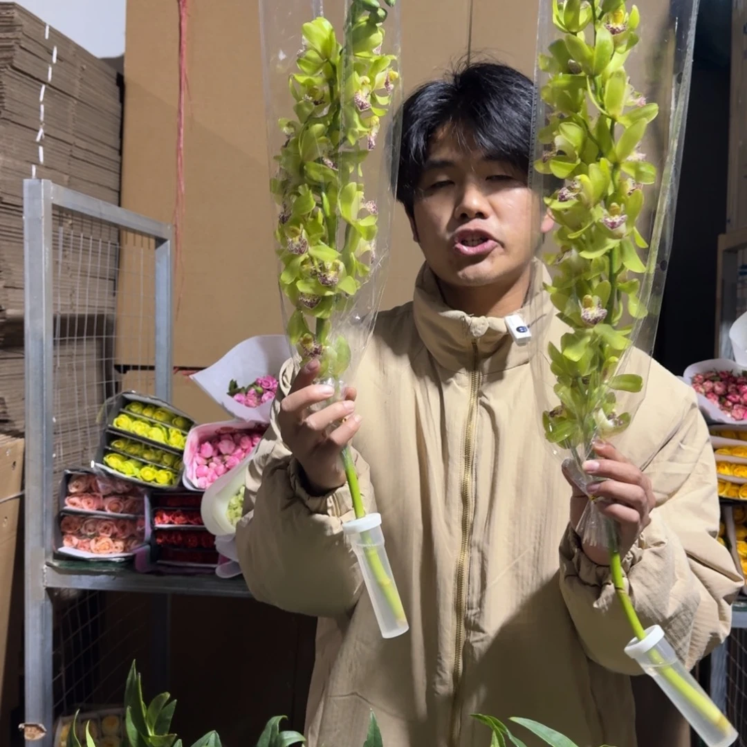 大花蕙兰2支。