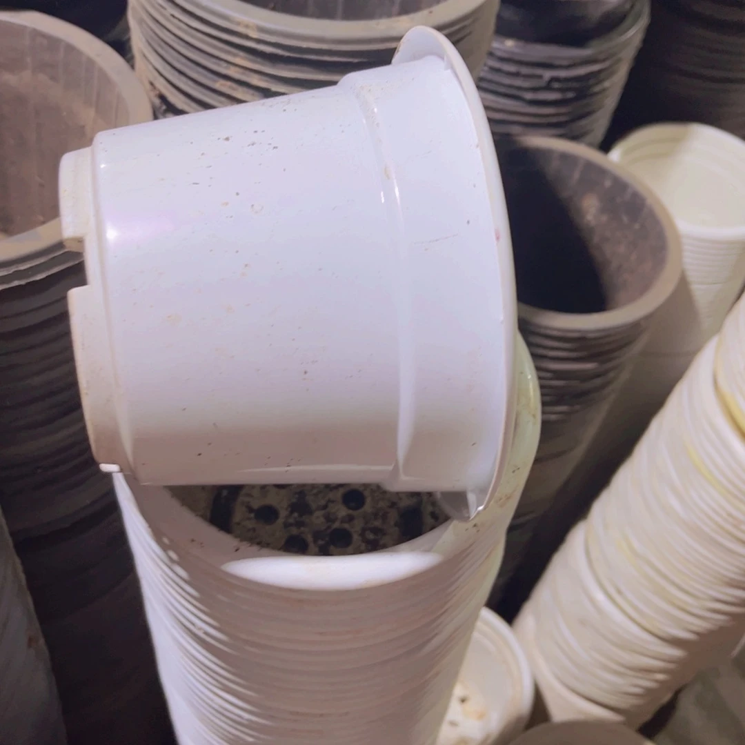 塑料旧16公分白圆盆加厚20个