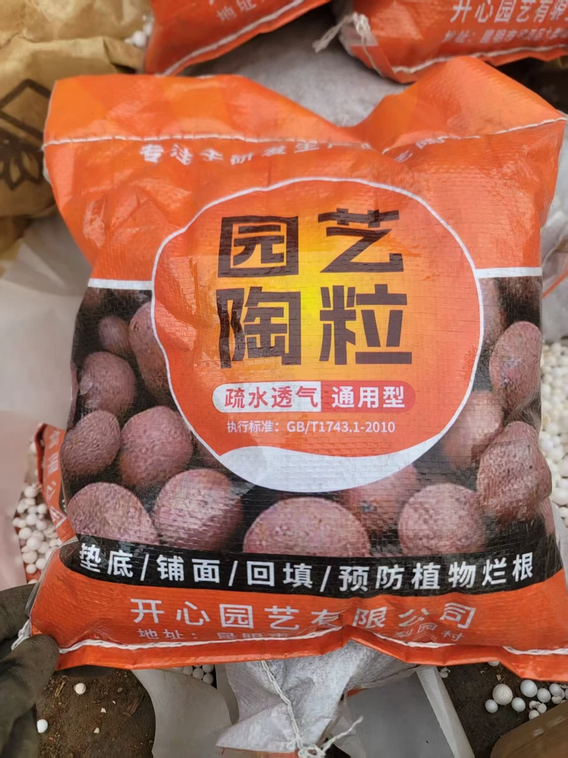 精品多肉    陶粒