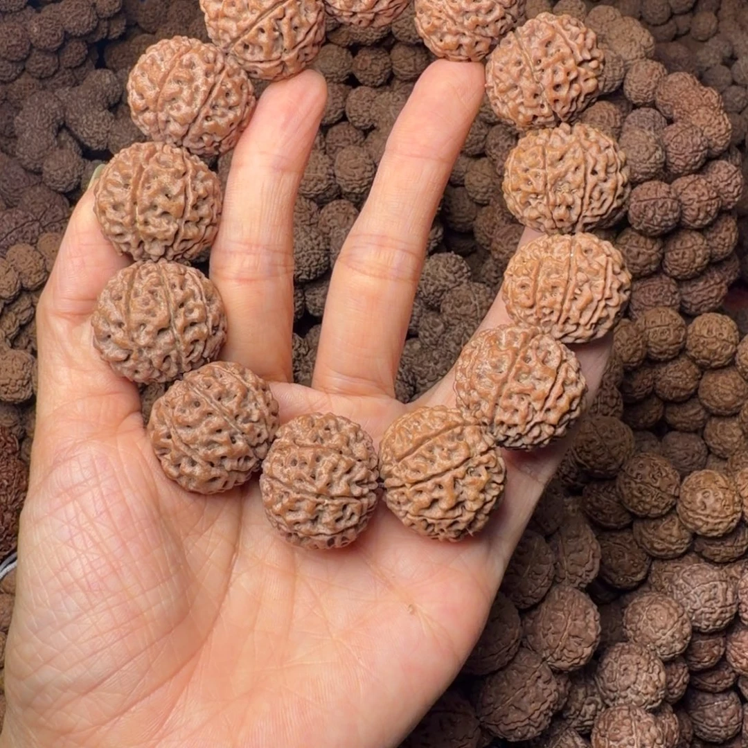 手串金刚菩提9瓣卡25尺，15号