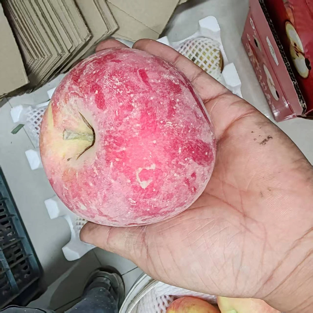 正宗新疆阿克苏苹果脆甜可口新鲜应季早熟红富士苹果现摘现发
