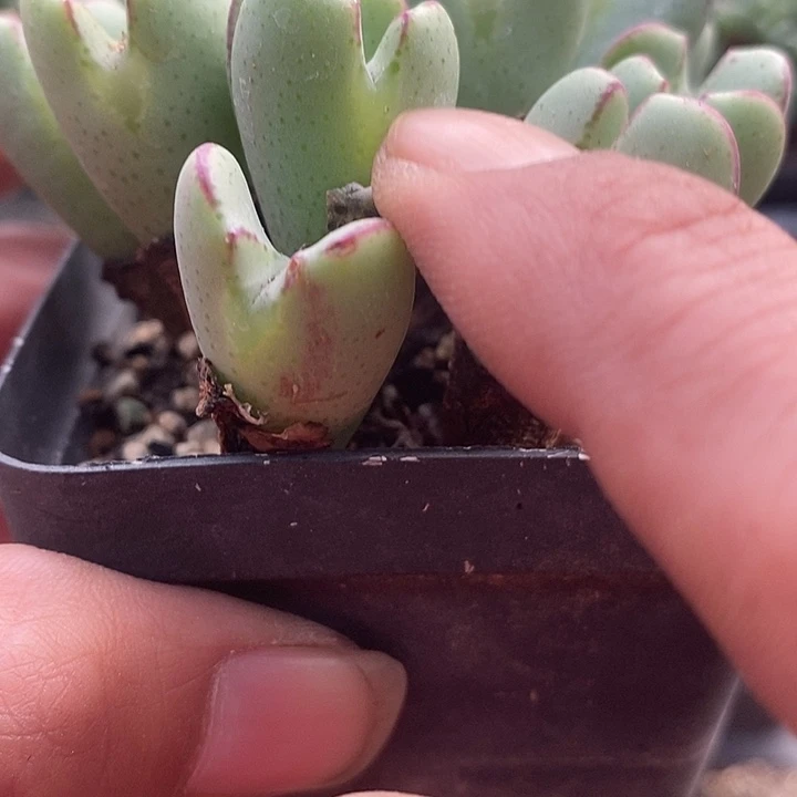 这种事不知何时5019