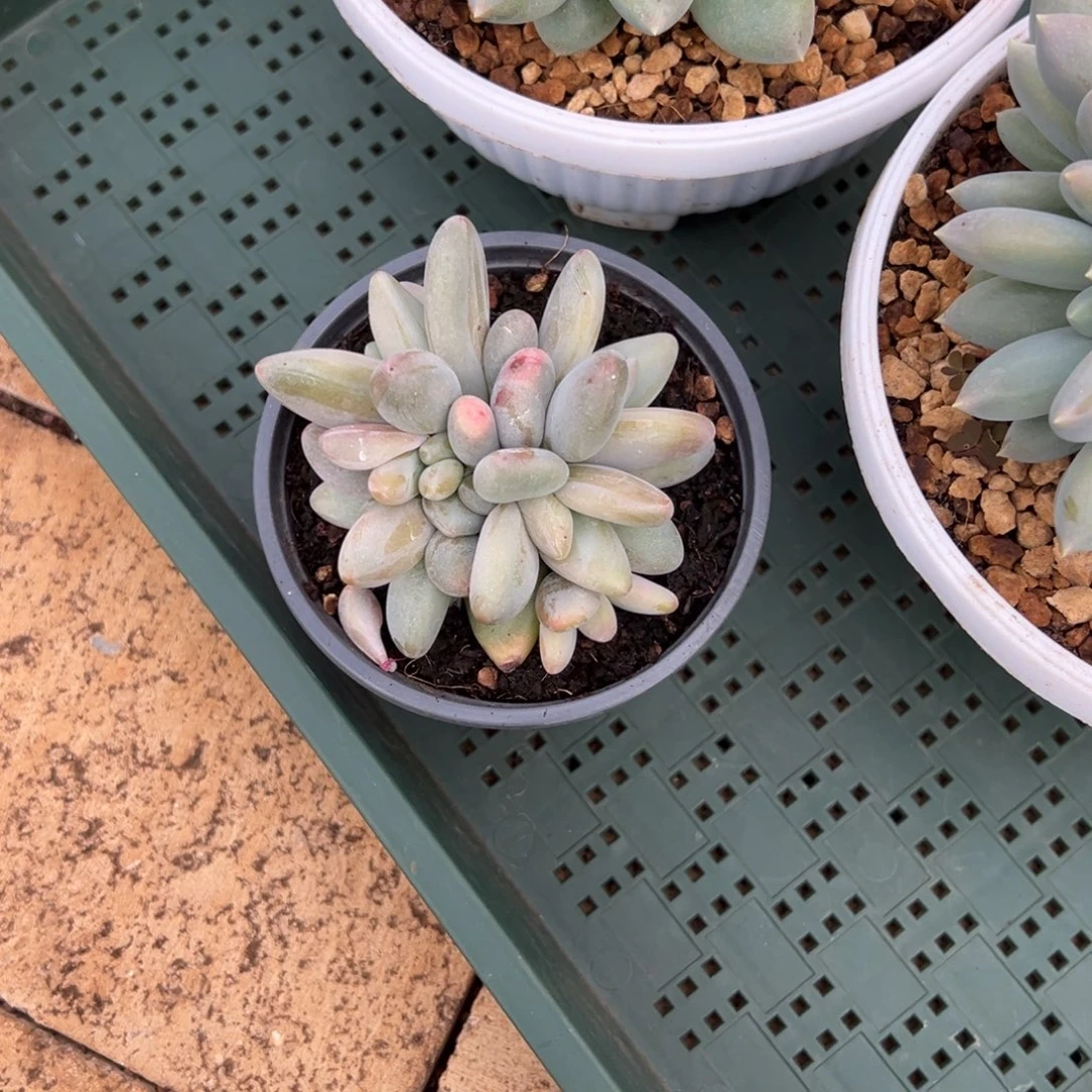 一***姨一七10。