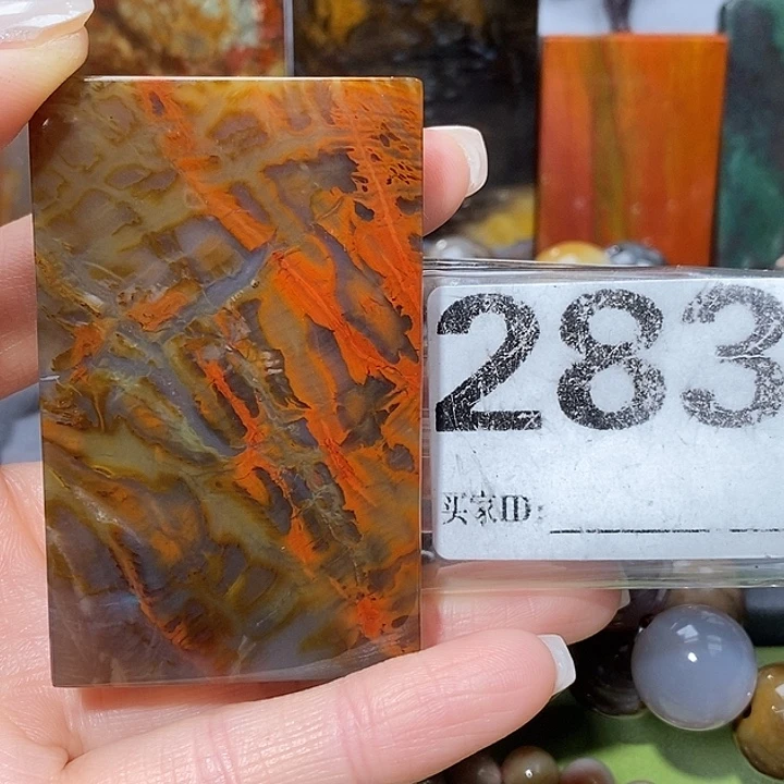 硅化玉未镶嵌天然北票树化玉吊坠