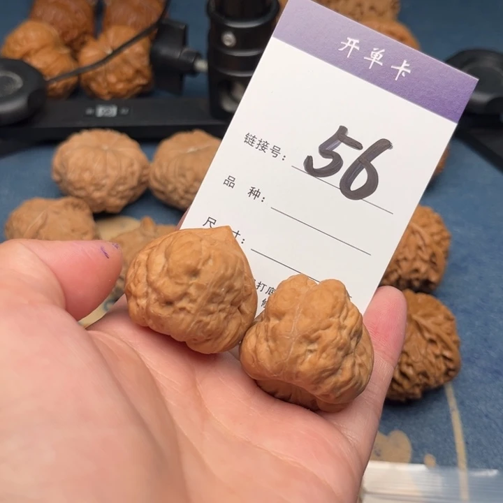 吊坠文玩核桃d*r古蝉 35全品 56