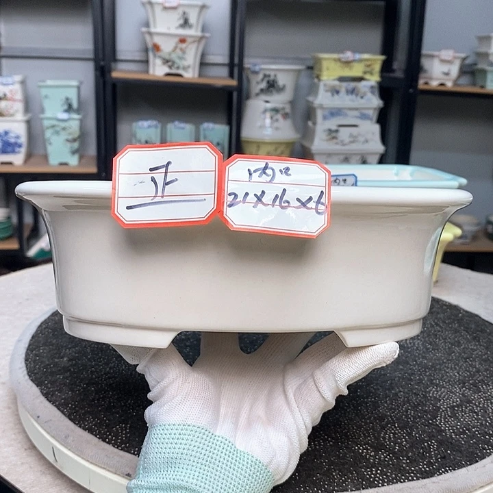紫砂的花盆很漂亮