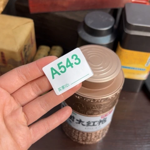 东***海哈哈哈666666666666