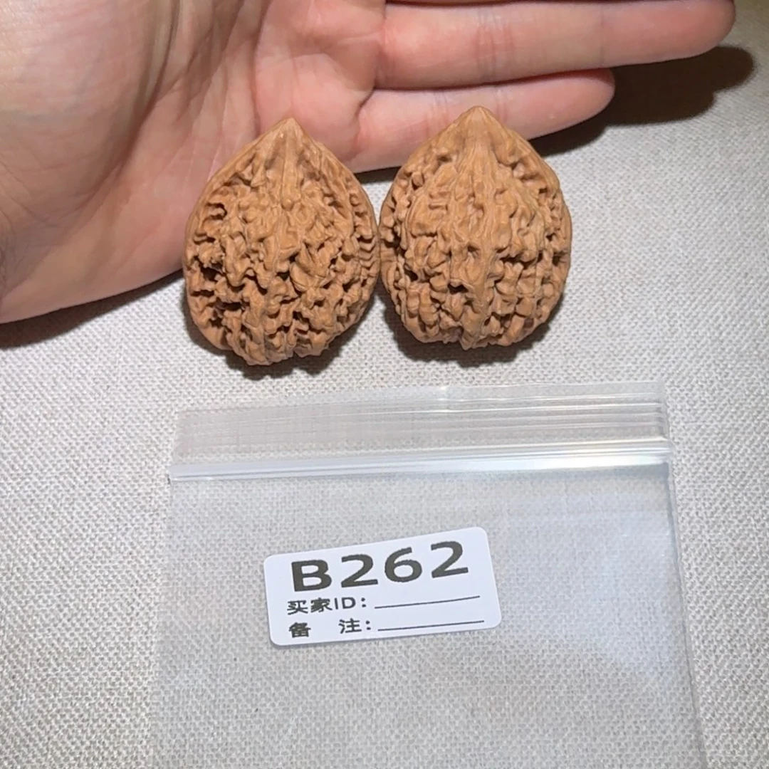 文玩核桃吊坠蚂蚁王262