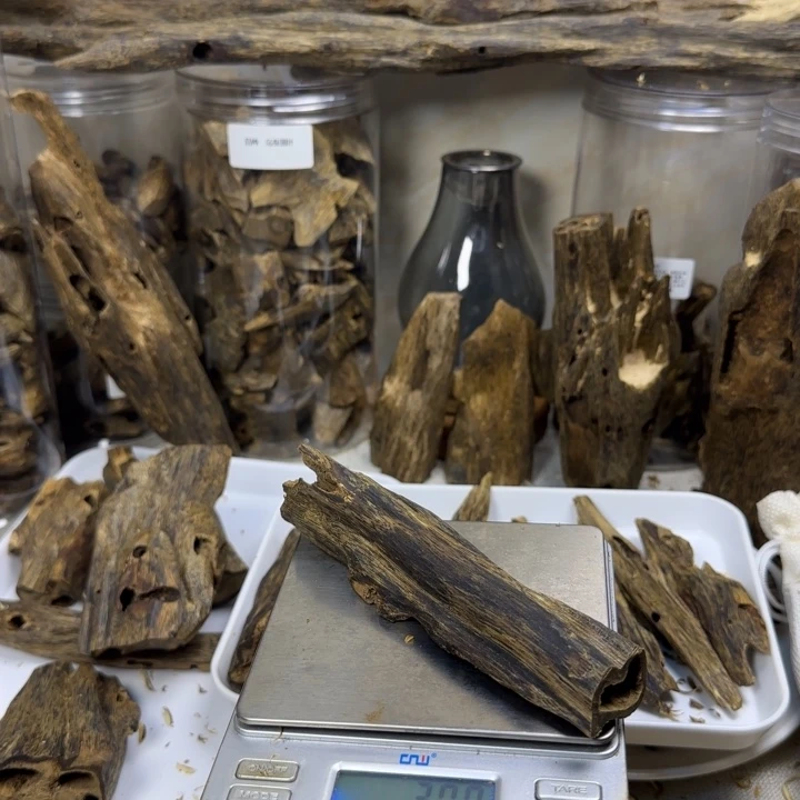 ****️沉香红骨凹身虫漏手把件36.9