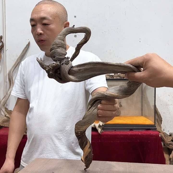 柏木柏****9我们都是好孩子呀我也是