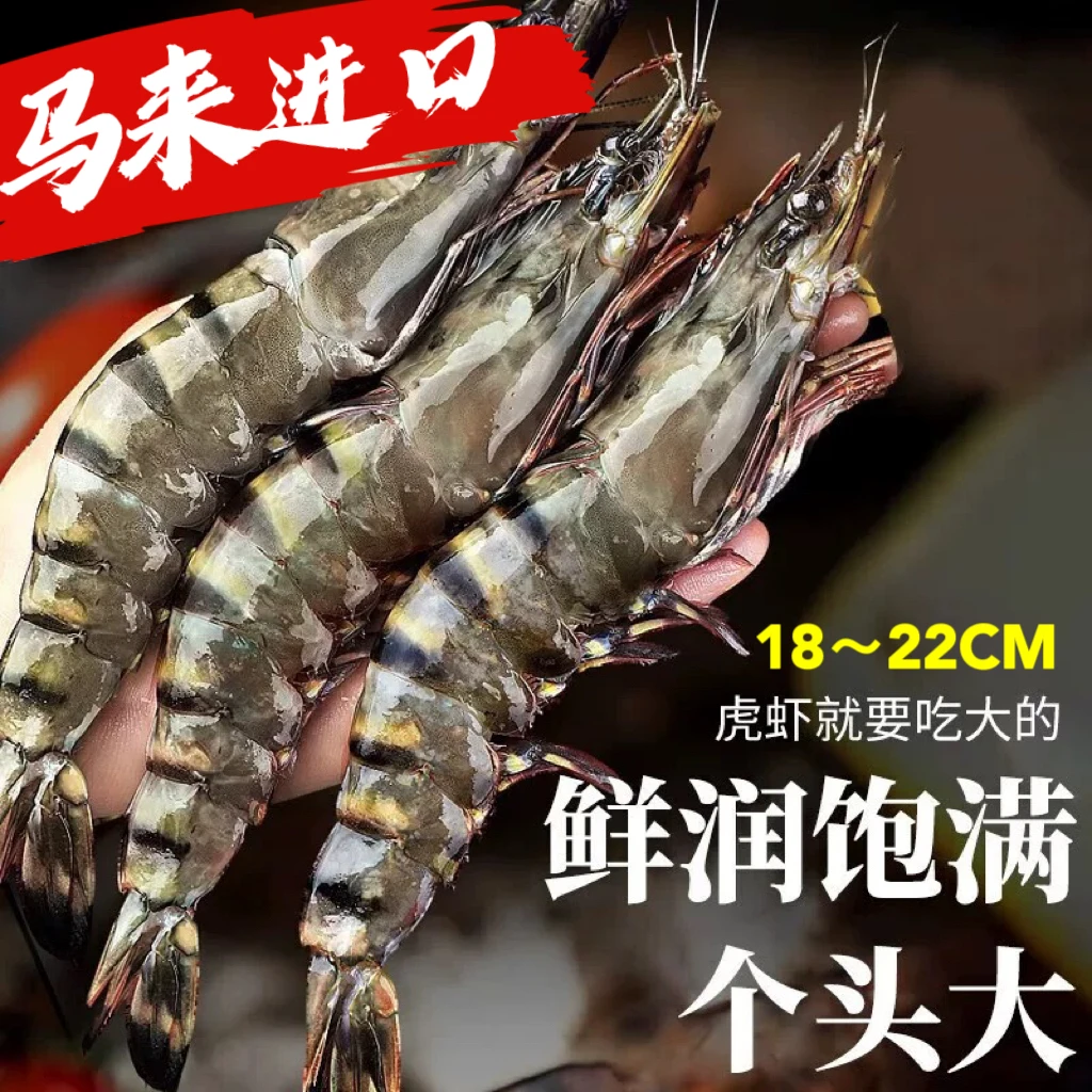 【马来进口超大黑虎虾】活虾海捕活冻肉质鲜美即食