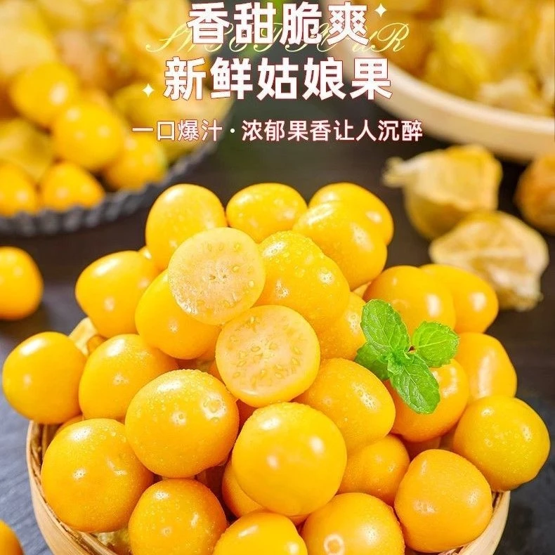 【东北大地头茬姑娘果】新鲜采摘东北头茬姑娘果！灯笼果当季水果