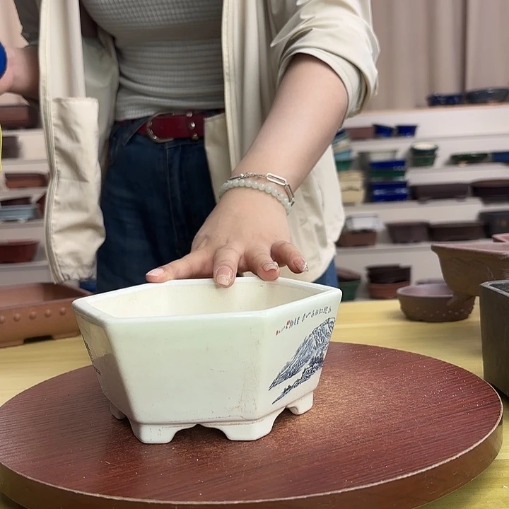 紫砂花盆来咯紧急咯健康