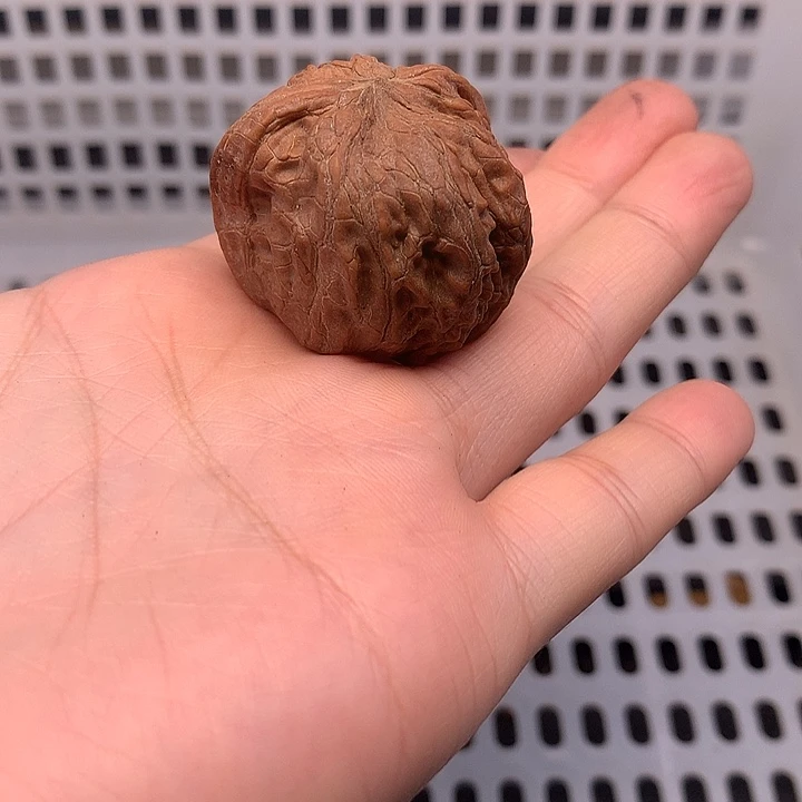保***馆文玩核桃吊坠文玩核桃