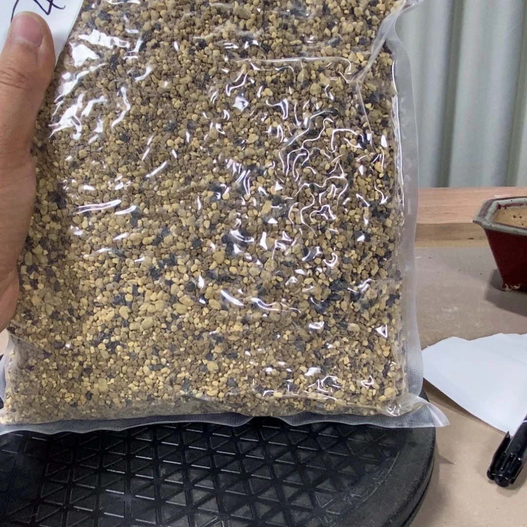红陶红红火火过大年土