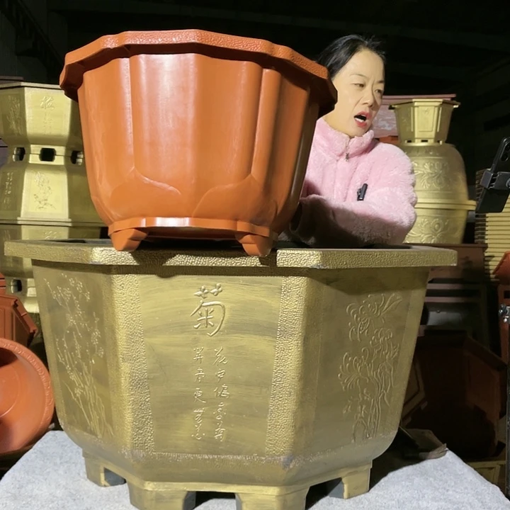 莲花盆红色四零六个