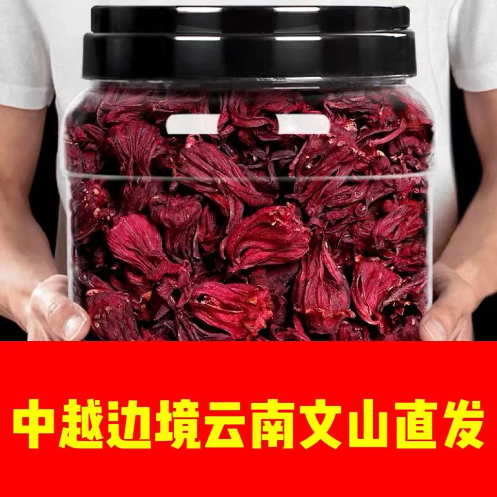 中越边境云南文山一寨一品洛神花