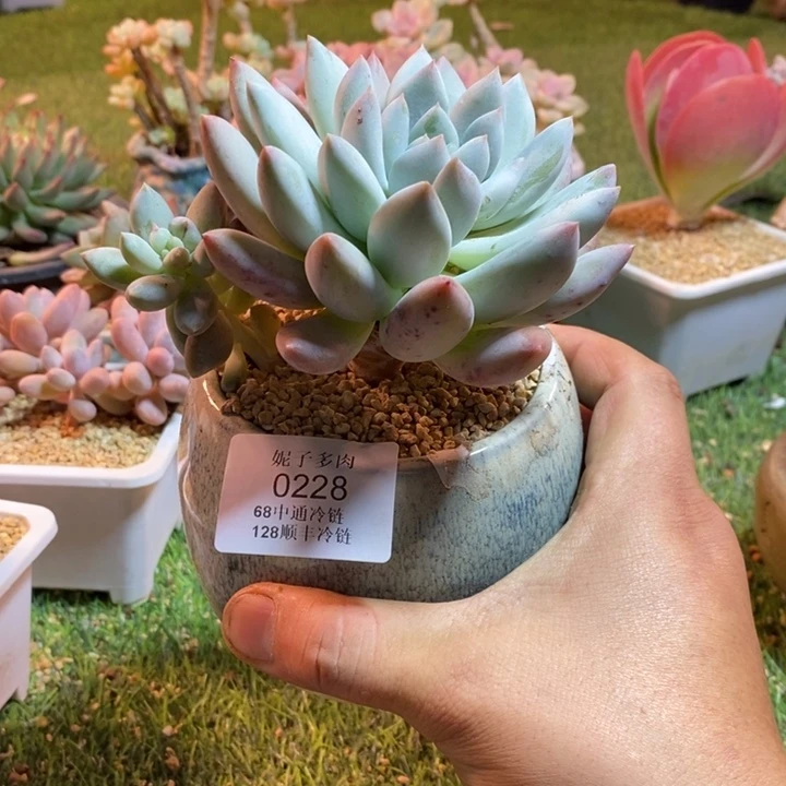 0228啊啊啊啊啊啊啊啊啊