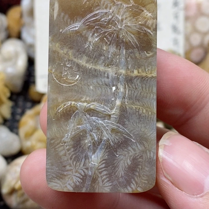 颈饰未镶嵌硅化珊瑚（珊瑚玉）有瑕