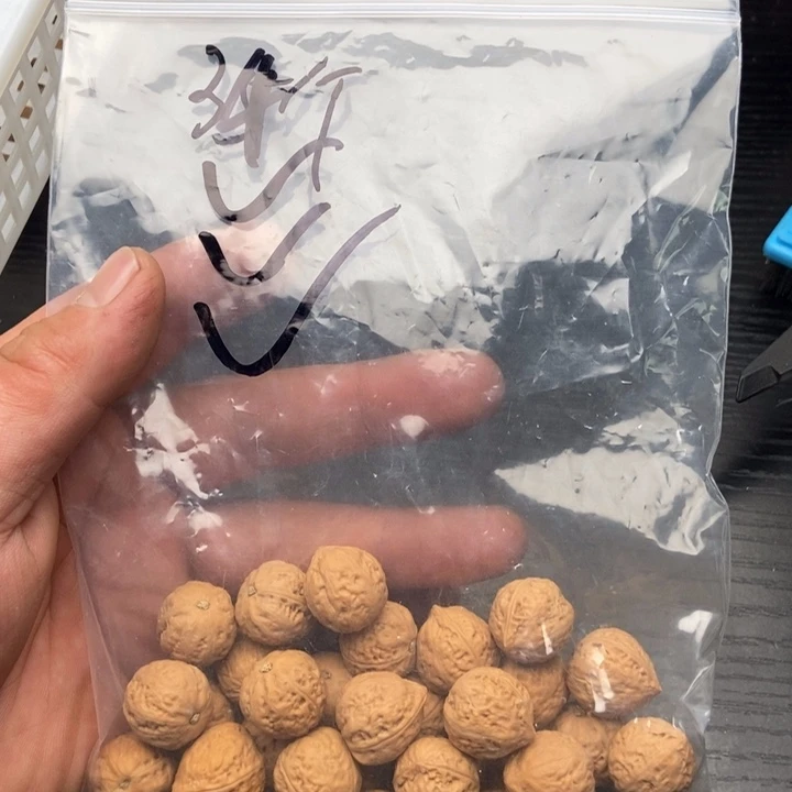 34粒定制打孔，定制商品不退不换