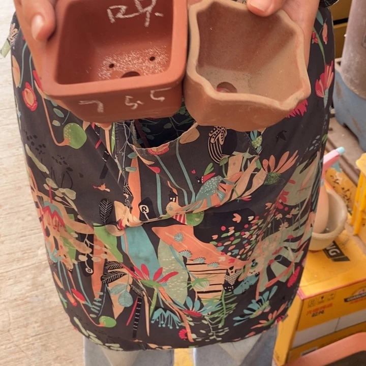 紫砂花盆只顾看挑一套