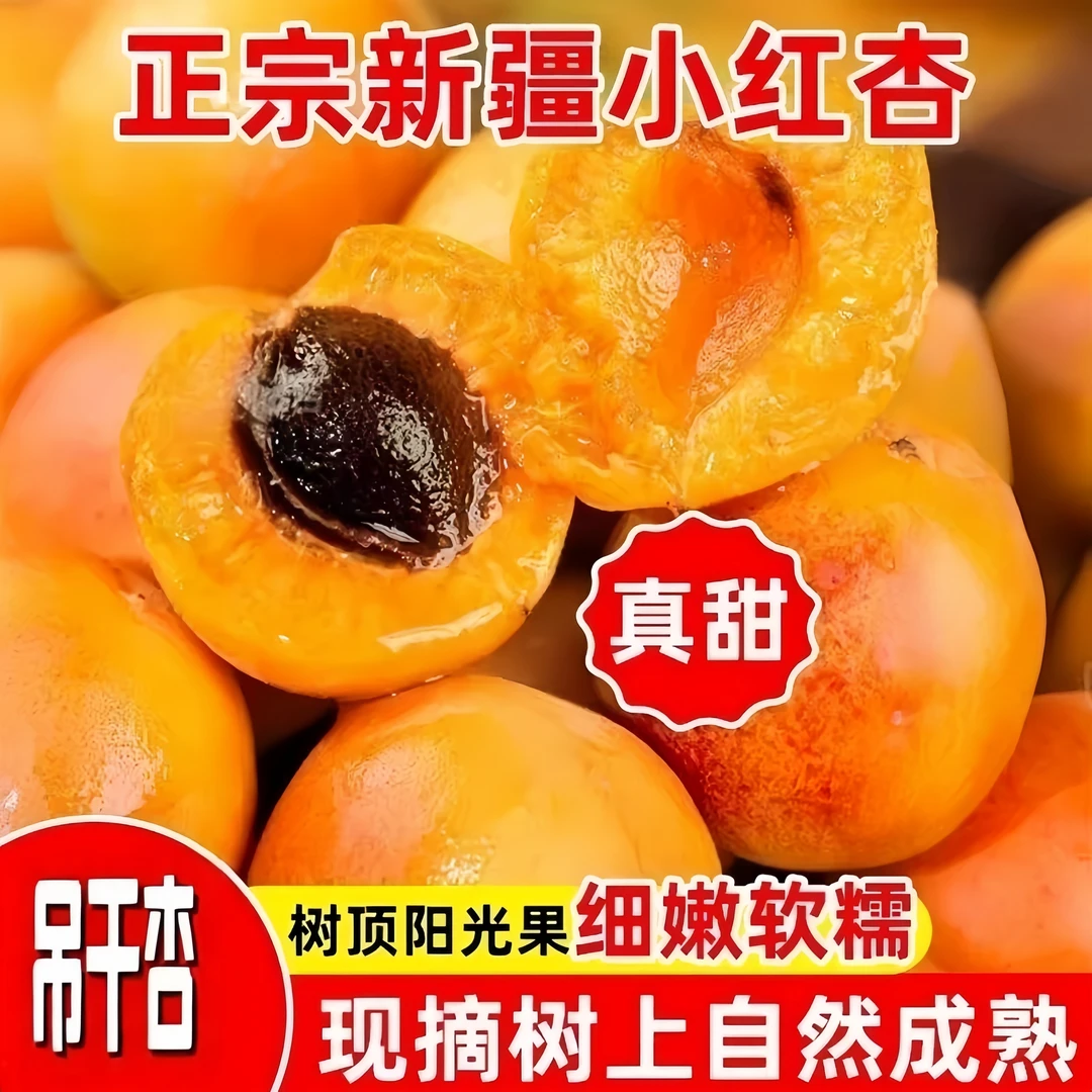 【新疆小红杏】新鲜采摘 果香浓郁 甜蜜多汁 顺丰/JD包邮 3斤装