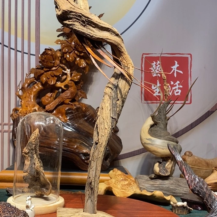 好***安香榧木兰花