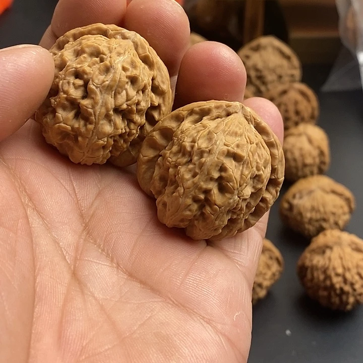 核桃文玩核桃白狮子